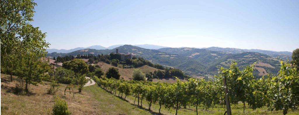Agriturismo Tenuta Di Biscina Exterior foto